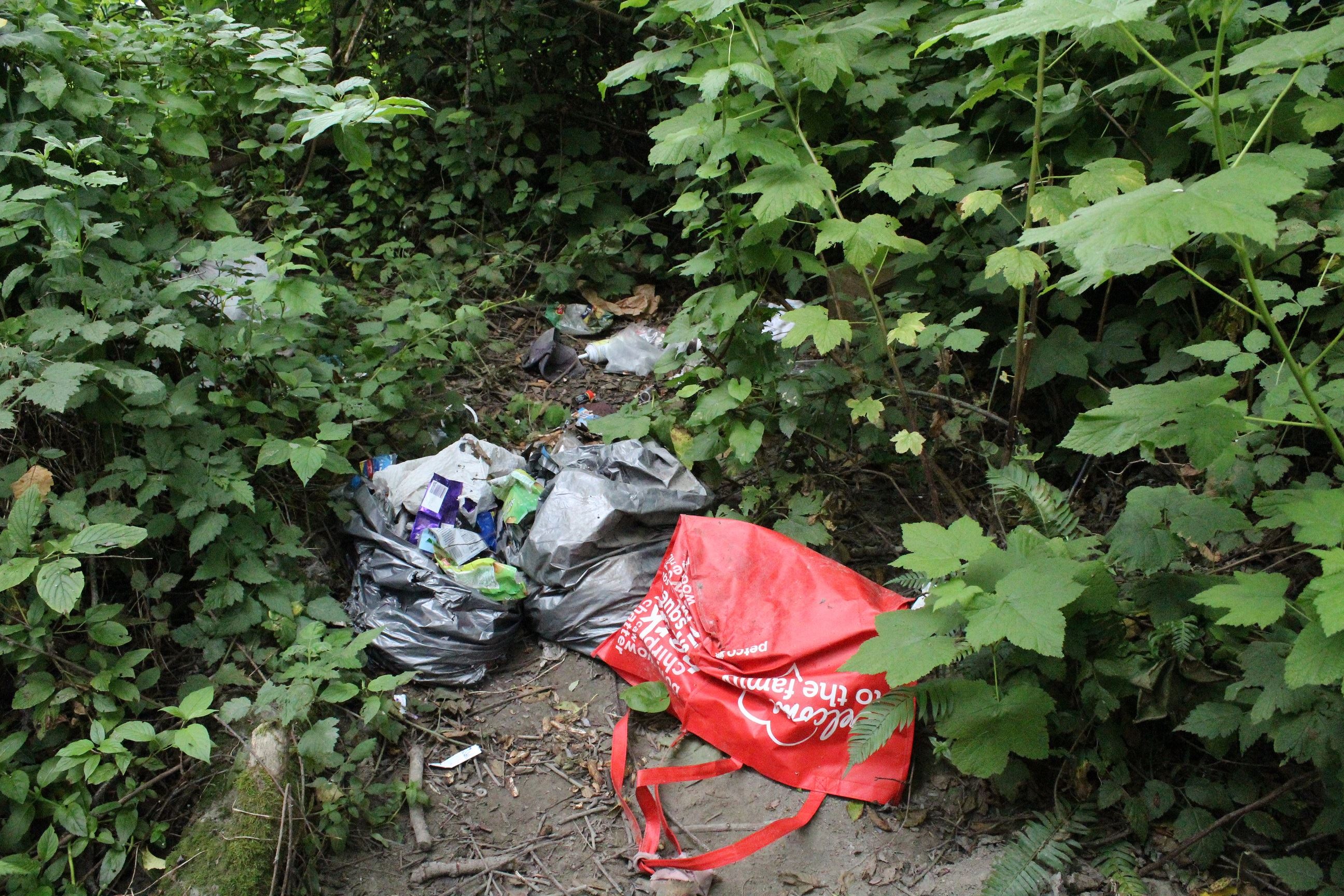 Mad River Campsite #2