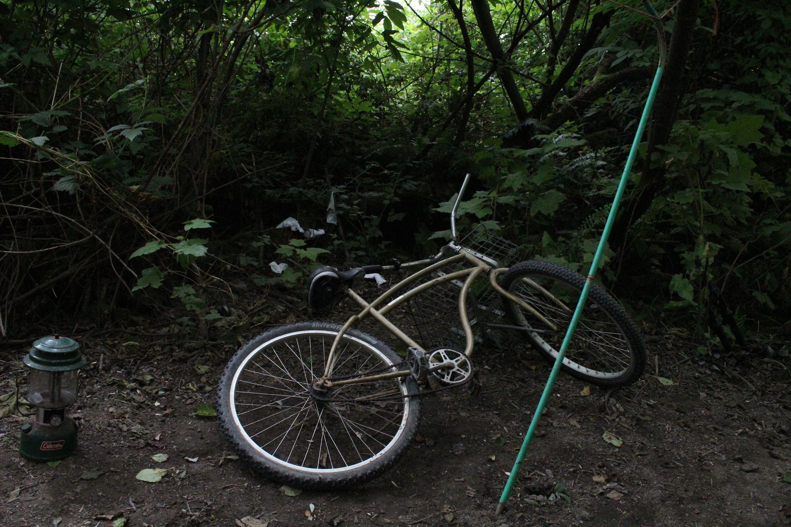 Mad River Campsite #2