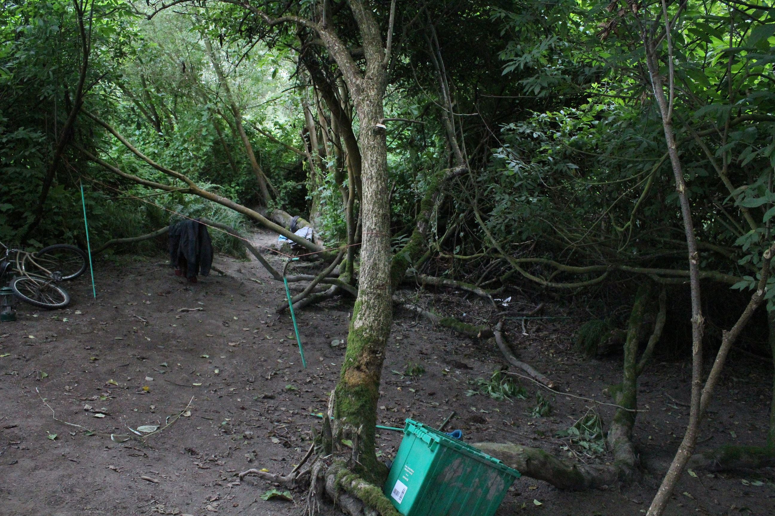 Mad River Campsite #2