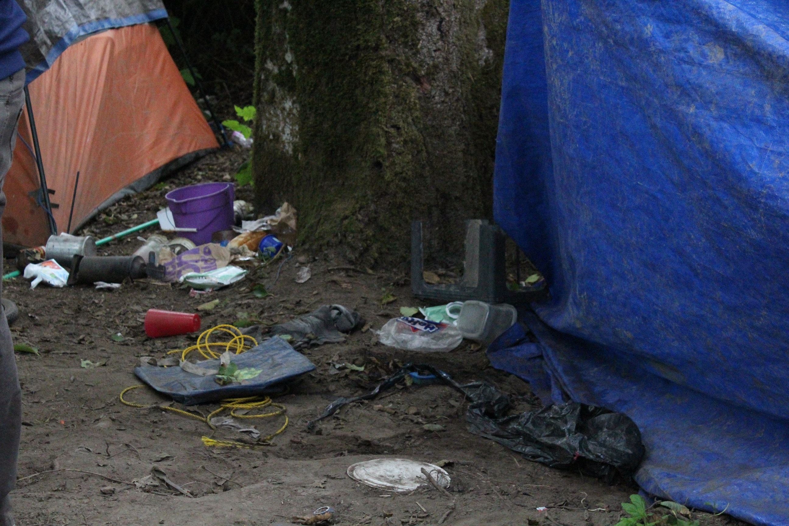 Mad River Campsite #2