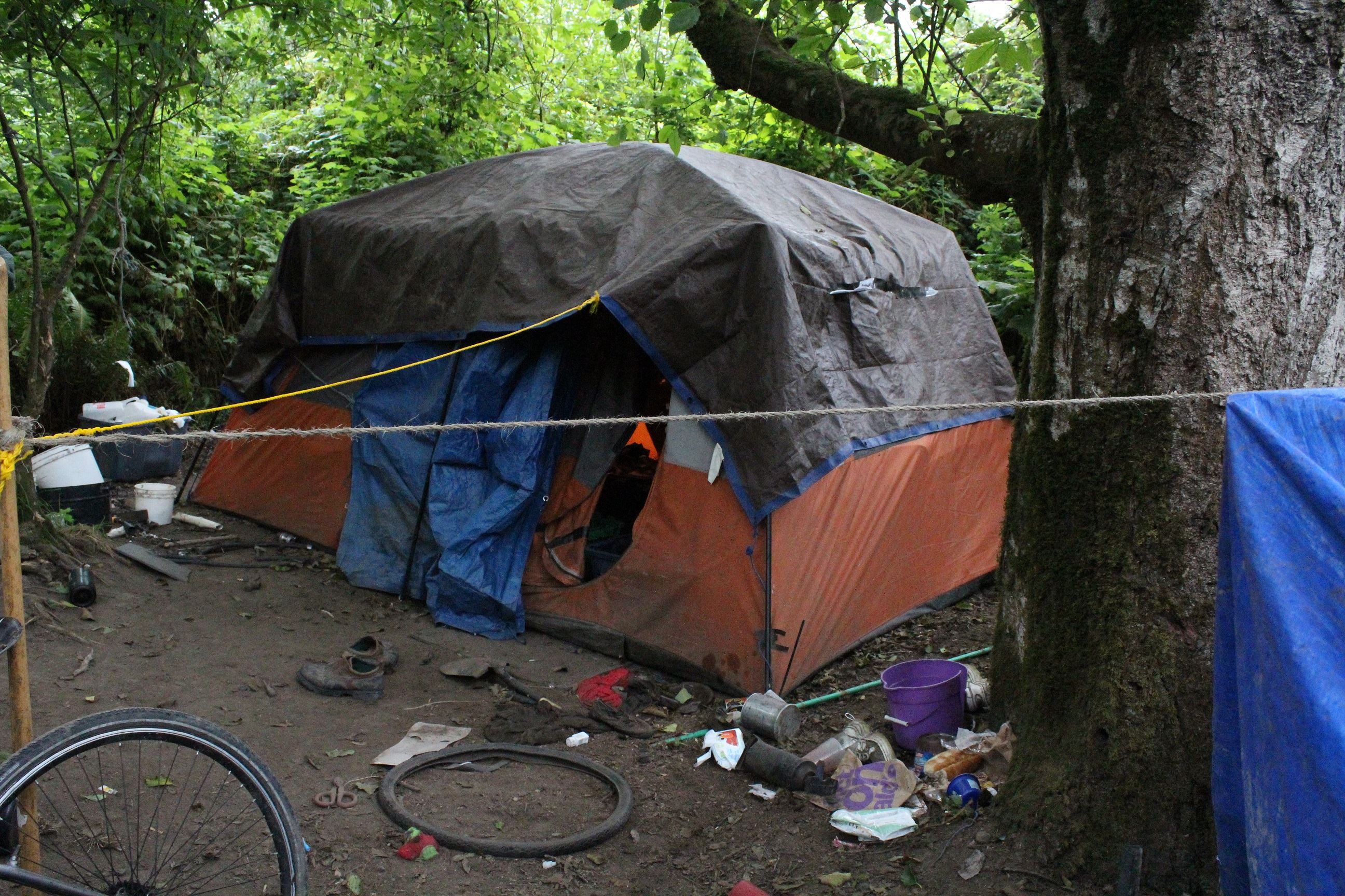 Mad River Campsite #2