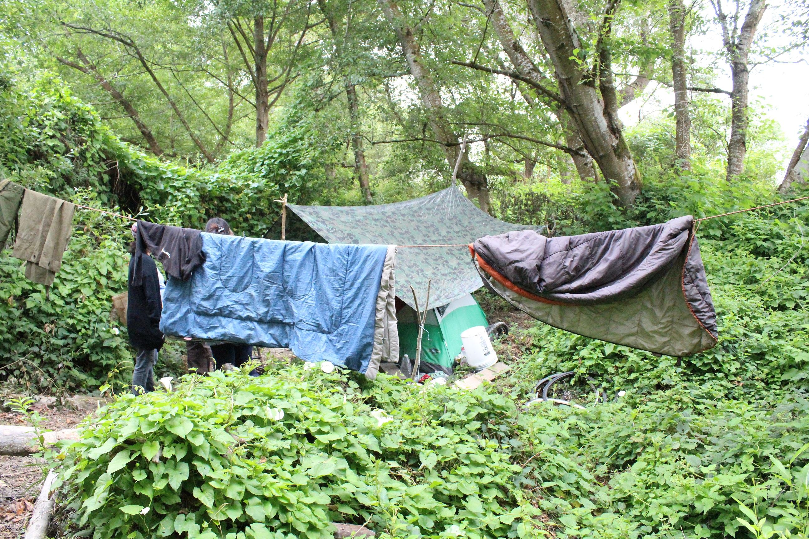 Mad River Campsite #3