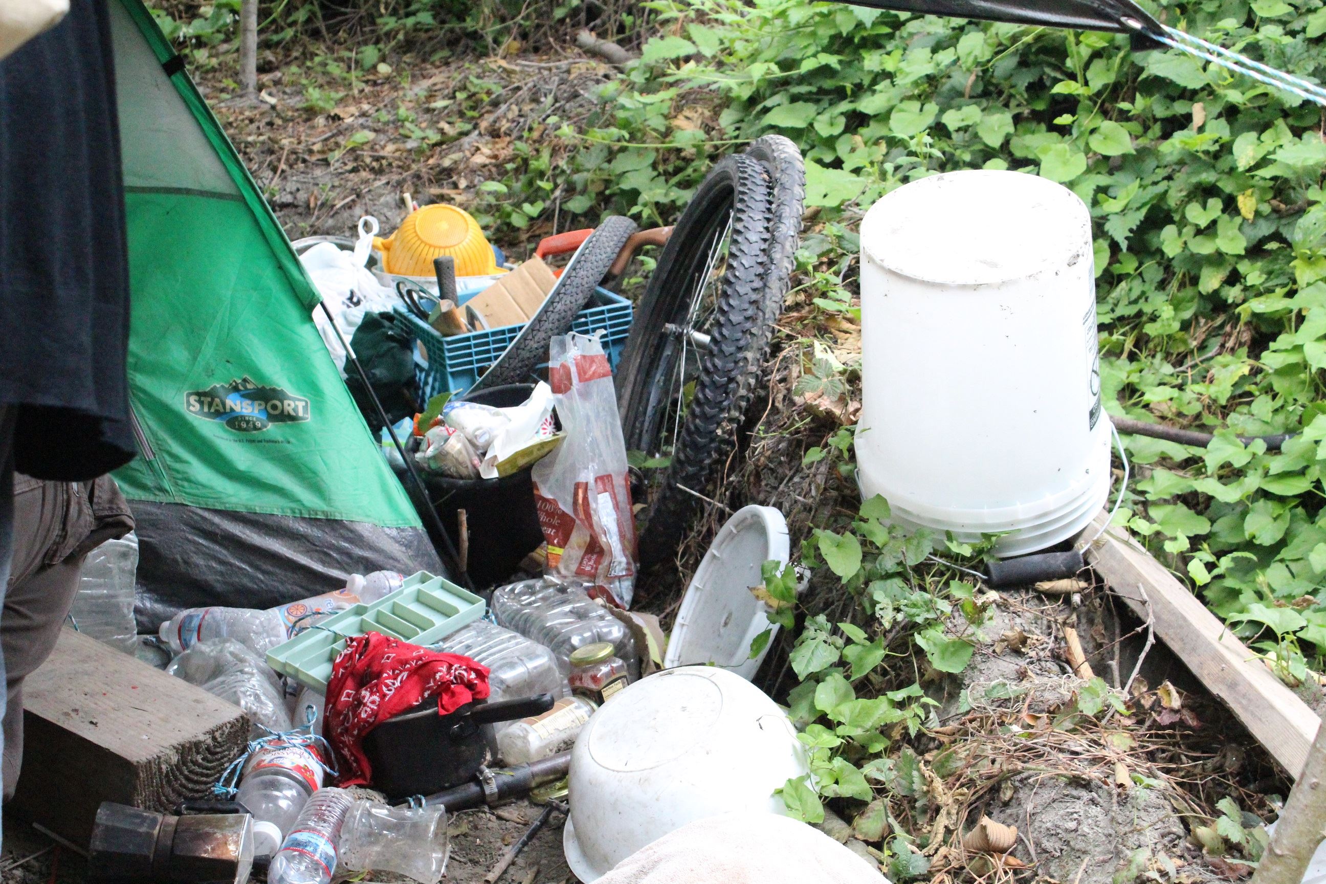 Mad River Campsite #3